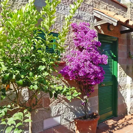 Holiday St Anna, Rio Nell